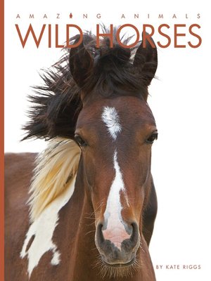 cover image of Wild Horses